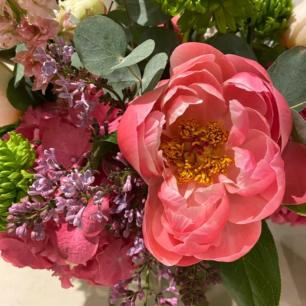 Meet your Posher, Beth